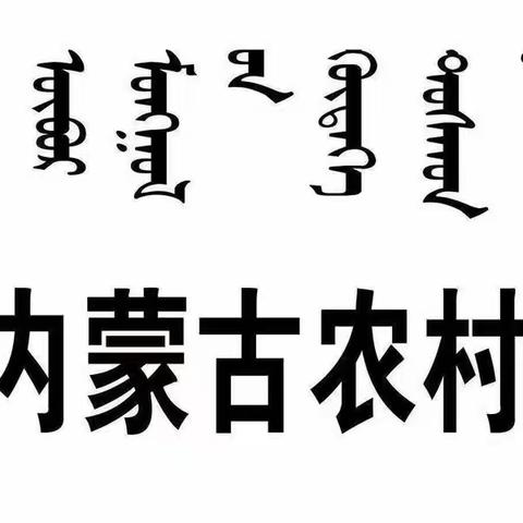 【巴林右旗联社精准营销落地辅导培训项目】-农区分社辅导