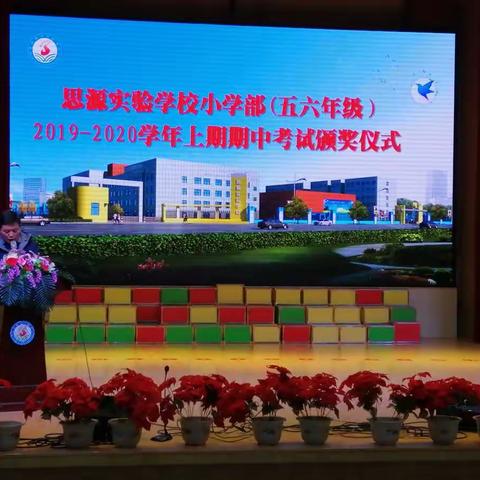 小苹果的美篇（副本）