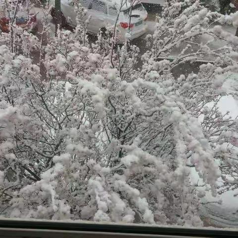 四月的雪