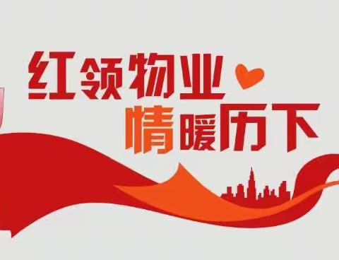 区住建局召开党建引领业委会建设专题“线上”培训会