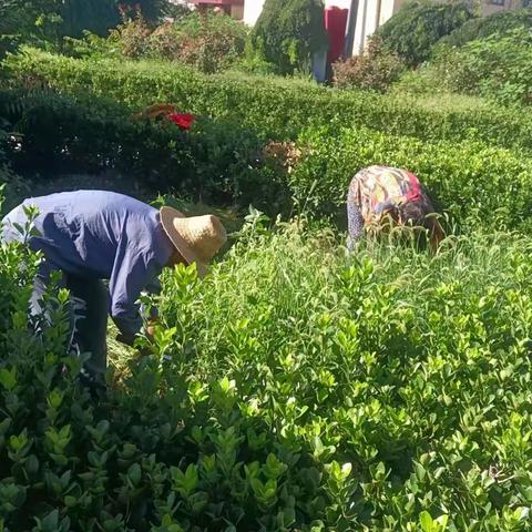 持续改善提升人居环境，井陉县吴家窑乡在行动！