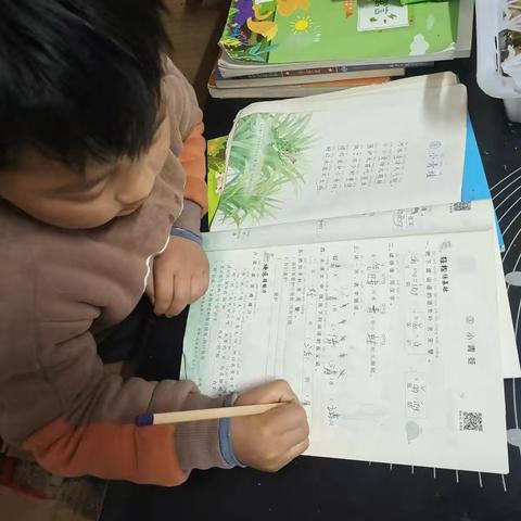 黄河路小学一年级二班王德政假期生活