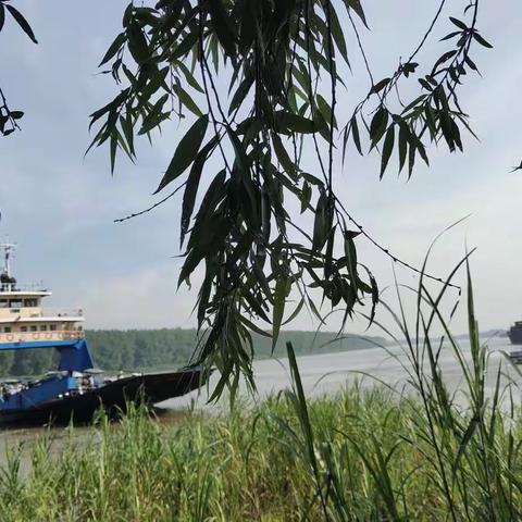 郊区周潭镇永升小学和义安区安平中心学校---结对共建，共同提高