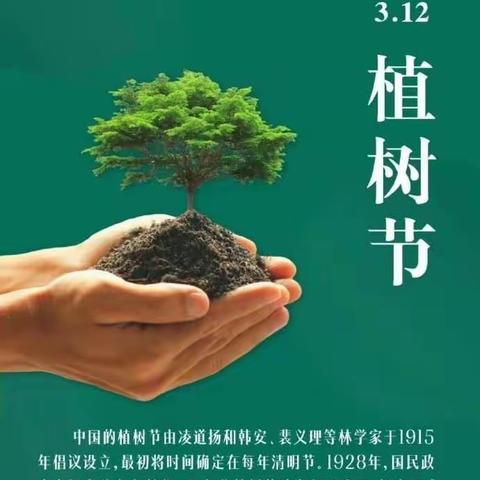 种一盆绿植，望一眼春天——中江县元兴小学开展植树节活动