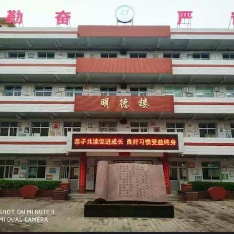 早晨的美篇