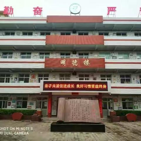 早晨的美篇