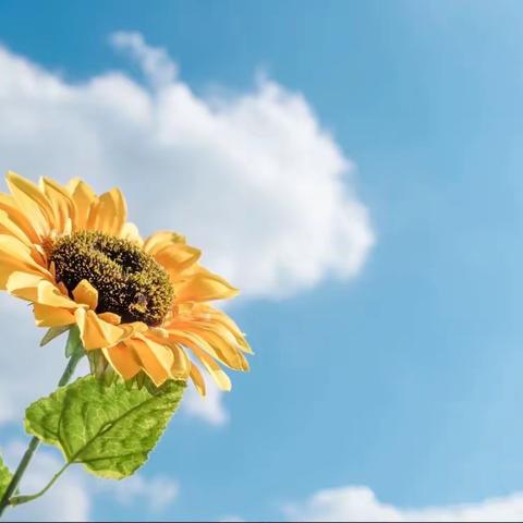 三原支行召开“个人客户经理日”座谈会