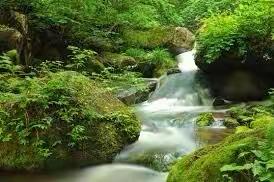 【绝律】 伏夏感吟