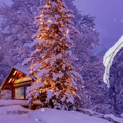 【七律】 迎冬瑞雪贺芳辰