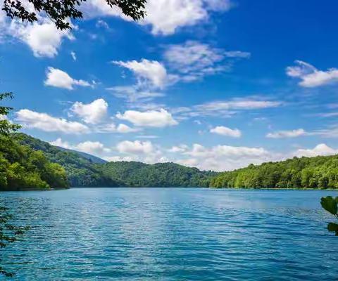 【诗词】 仲夏吟