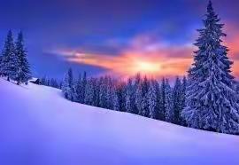 【五律】 雪 （外一首）