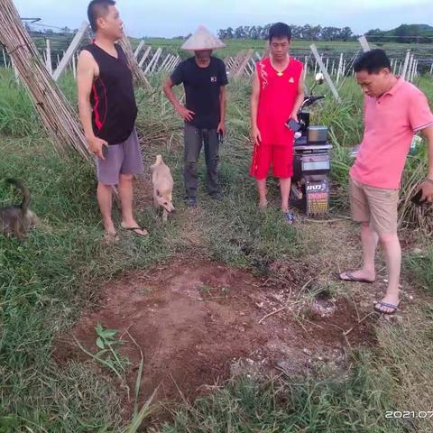 荣邦乡处理焚烧秸秆事件