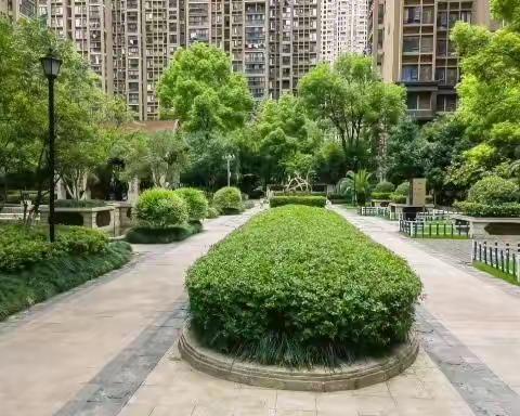 🌺大华铂金郦府9月工作简报🌺