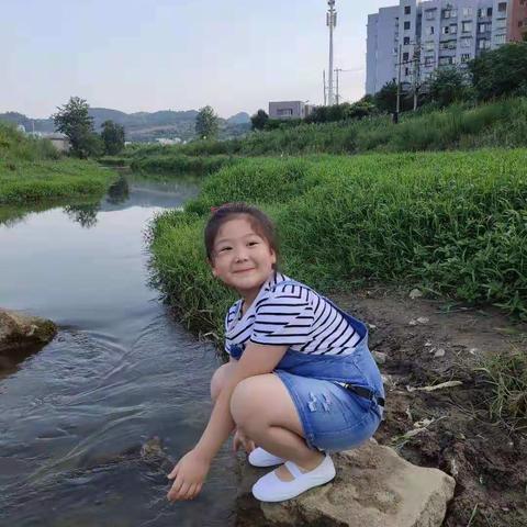 德育作业之生活篇