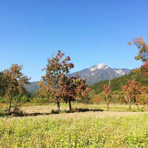 寻找秋天的色彩