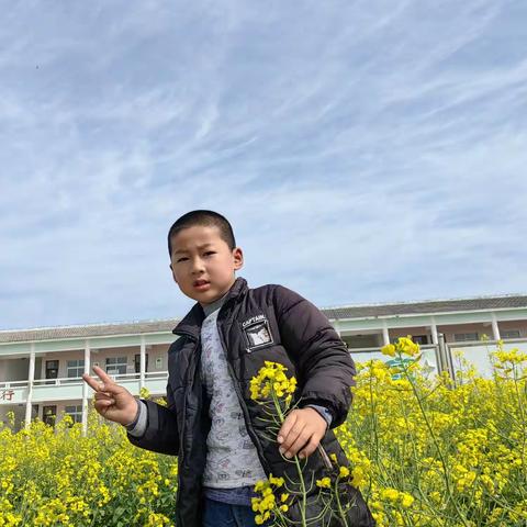 莺飞草长春满园，校园春色关不住🌸