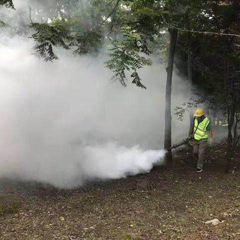 洪山区深入开展夏秋季病媒生物防制集中消杀行动