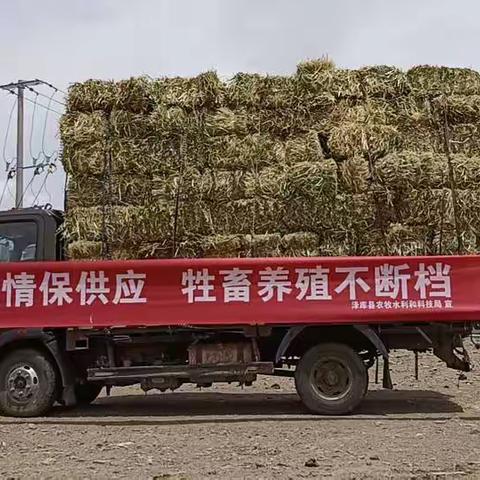 疫情防控不放松   抗灾保畜不动摇