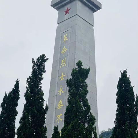 “缅怀革命先烈，继承革命传统，弘扬民族精神”记港北区同济小学2023年清明节祭英烈活动