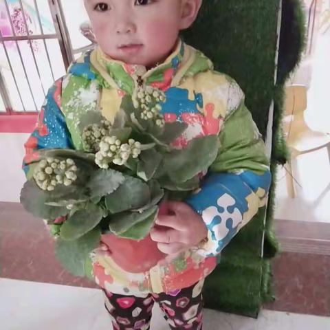 启航幼儿园早教分园植树节公益活动2019年3月12日