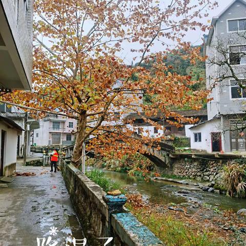 寒袭雨冷思切切，衣添襟暖情殷殷——华坛山镇叶家小学防寒保暖温馨提示和安全教育