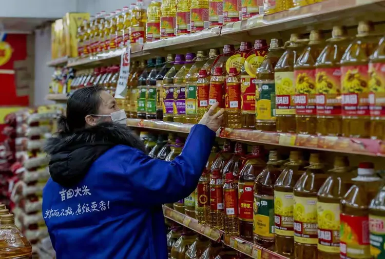  疫情对百姓的生活影响调查报告范文(调查报告范文500字)
