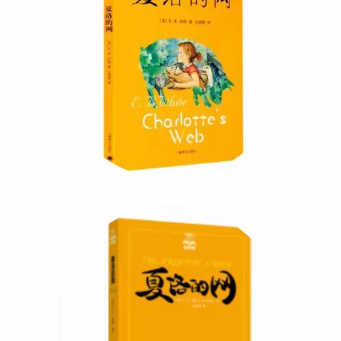 芬芳书香，阅读为伴——记四年段四月份、五月份阅读交流活动