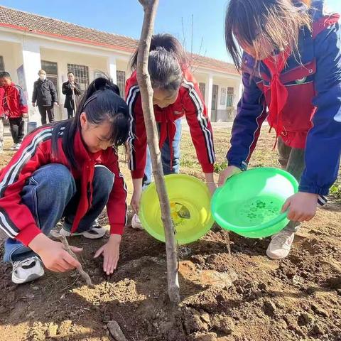 许美好愿望 献绿色爱心 ——九巨龙集团捐赠爱心树，助力大美乡村教育暨防山镇万柳小学植树节实践活纪实