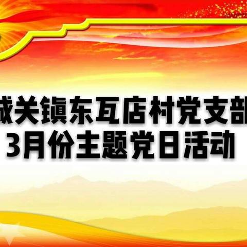 城关镇东瓦店村党支部3月份主题党日活动掠影