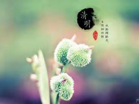 coco的美篇
