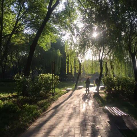 晨曦中的北土城公园