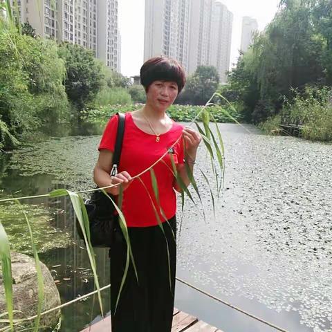 苏州园林