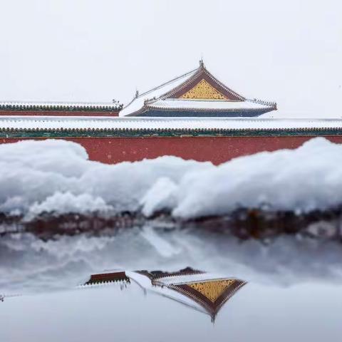 雪落紫禁城，故宫景如画！