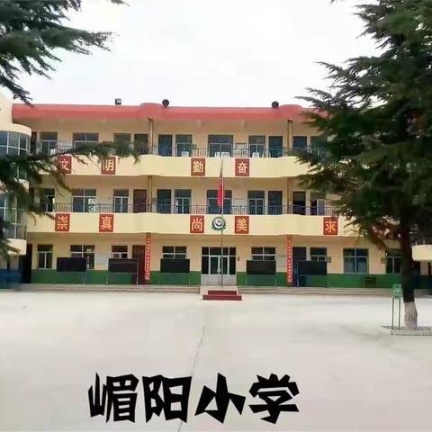 感受文字之美，享受书写之乐。――临猗县嵋阳小学写字比赛