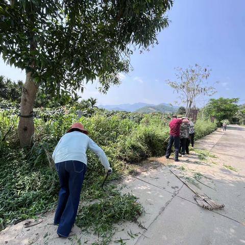 江边营村持续开展人居环境卫生整治活动
