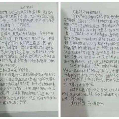 【肥乡区王庄小学】″七彩假期"作业之综合实践篇——书写红色故事，传承红色基因