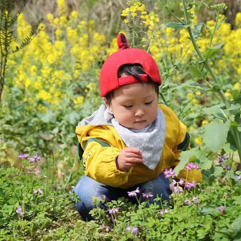 简简单单，快快乐乐