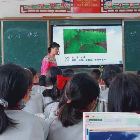 南阳市第二十三中青年教师听评课展示——何可烂老师课堂纪实