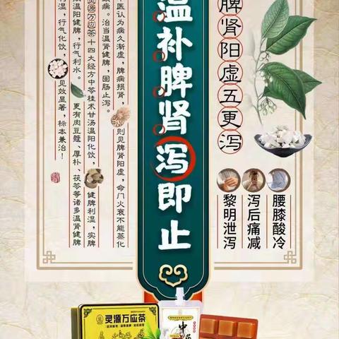 龙湖社区卫生服务站弘扬中医药，推广中医药“治未病”