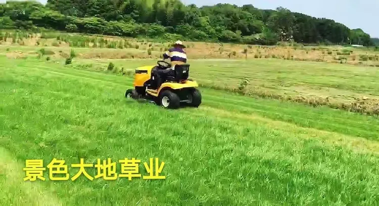草坪养护的标准