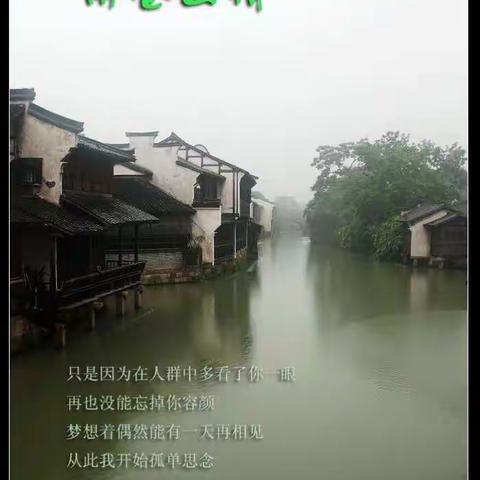 雨巷幽情