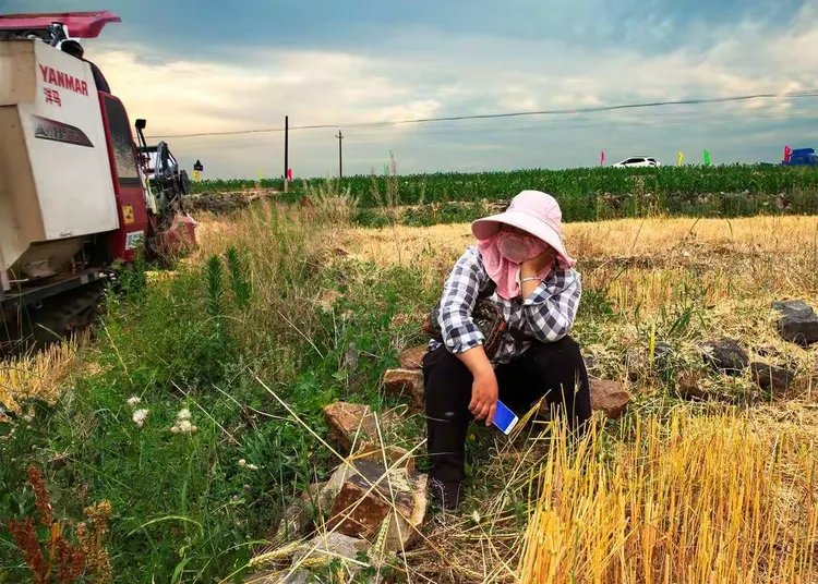 农田兼职怎么找 农田兼职怎么找