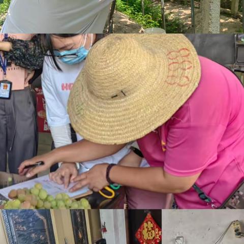 市农安中心开展葡萄质量安全专项抽检工作