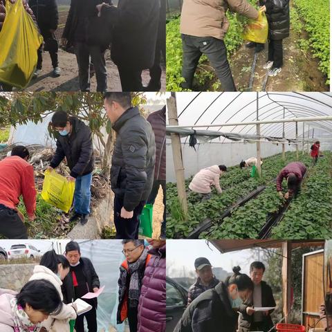 市农安中心开展节前农产品质量安全专项风险监测活动