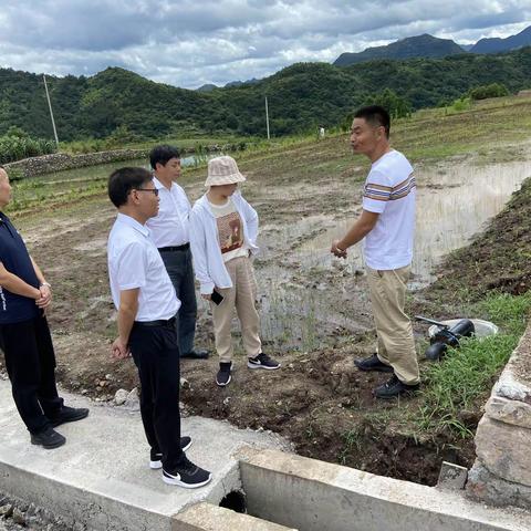 局党委委员、总农艺师陈加伟带领第七服务小组赴磐安县开展“三联三送三落实”活动