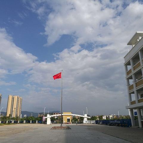 【百色市逸夫小学紫薇分校】第十九周工作汇报