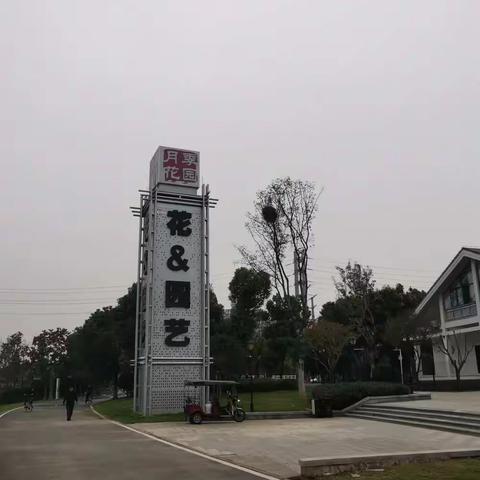 金银湖，月季花海。