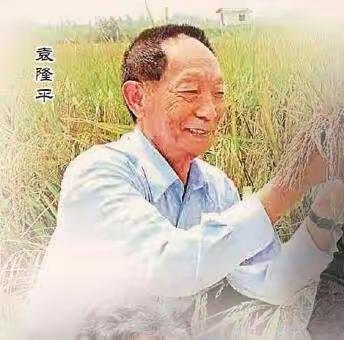 稻花香里忆起您，吾辈少年当自强—长江路小学纪念袁隆平院士主题班会活动