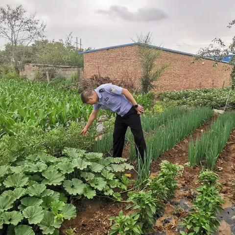禁种铲毒，不留死角！