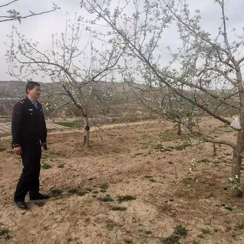 威戎派出所开展禁毒铲毒铲源头行动